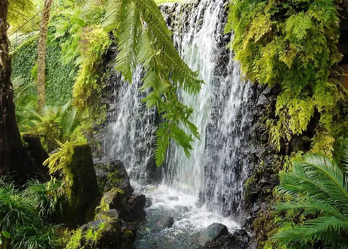 Hébergement de vacances Panoramic House In